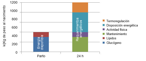 Disponibilidad de energ&iacute;a al nacimiento y requerimientos energ&eacute;ticos a las 24h de vida de un lech&oacute;n