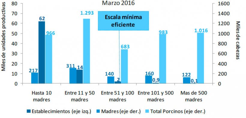 Gr&aacute;fico 3. Estratificaci&oacute;n de establecimientos con existencias porcinas seg&uacute;n censo de madres a marzo de 2016. Fuente: Informe de Cadena de Valor. Ministerio de Hacienda y Finanzas P&uacute;blicas. Argentina
