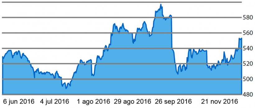 Gráfico 5. Evolución de la cotización del aceite de palma  en los últimos 6 meses.