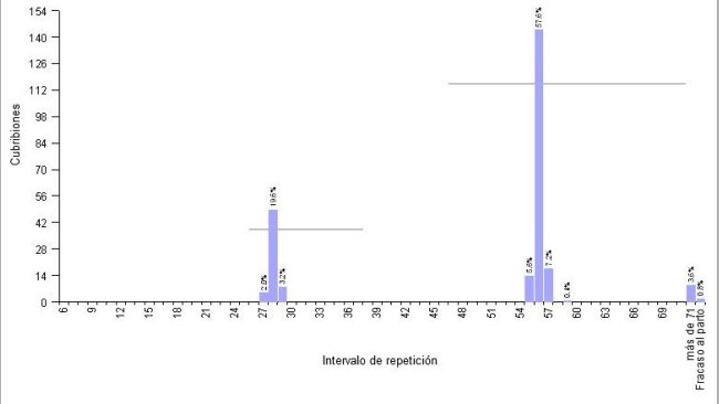 Gráfico 1.- Ejemplo de granja con MB4S, y programación de cubriciones repetidas con hormonas. Intervalo medio de repetición 51,6 días.
