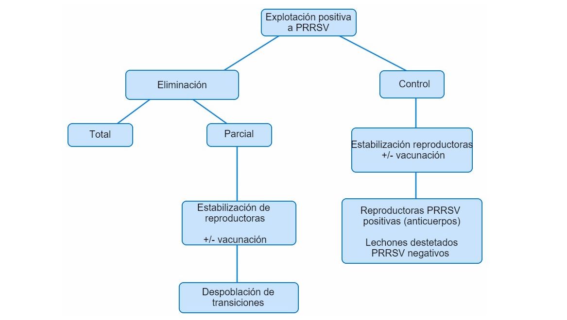 Figura&nbsp;1. Vista esquem&aacute;tica de los distintos planteamientos en granjas PRRSV positivas
