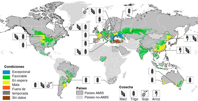 Imagen 1. Mapa de las condiciones de los cultivos en el mundo. Actualizado hasta julio de 2017. Fuente GEOGLAM.