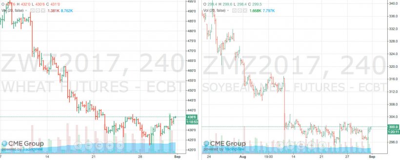 Gr&aacute;fica 1. Evoluci&oacute;n del precio del ma&iacute;z en el mercado de futuros Chicago Board of Trade (CBOT). Fuente: CME Group.
Gr&aacute;fica 2. Evoluci&oacute;n del precio de la harina de soja en el mercado de futuros Chicago Board of Trade (CBOT). Fuente: CME Group.
