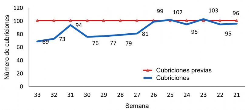 Gr&aacute;fico 1: Evoluci&oacute;n de las cubriciones en la granja
