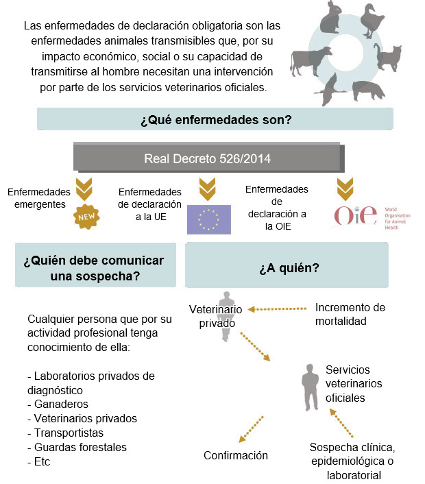 Enfermedades de Declaraci&oacute;n Obligatoria (adaptado del MAPAMA, Espa&ntilde;a)
