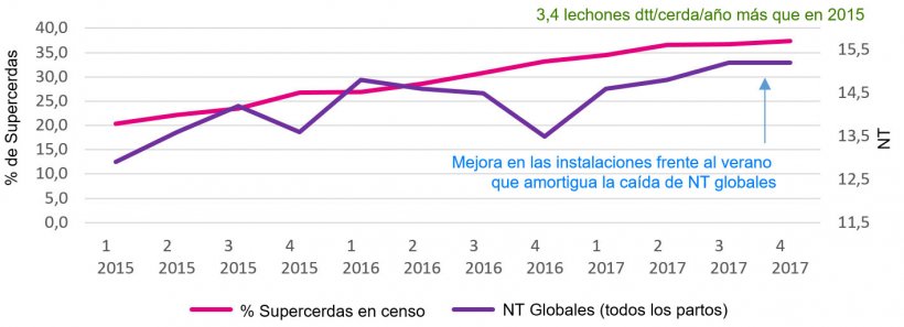 Gráfico 2. Porcentaje de supercerdas y nacidos totales globales.