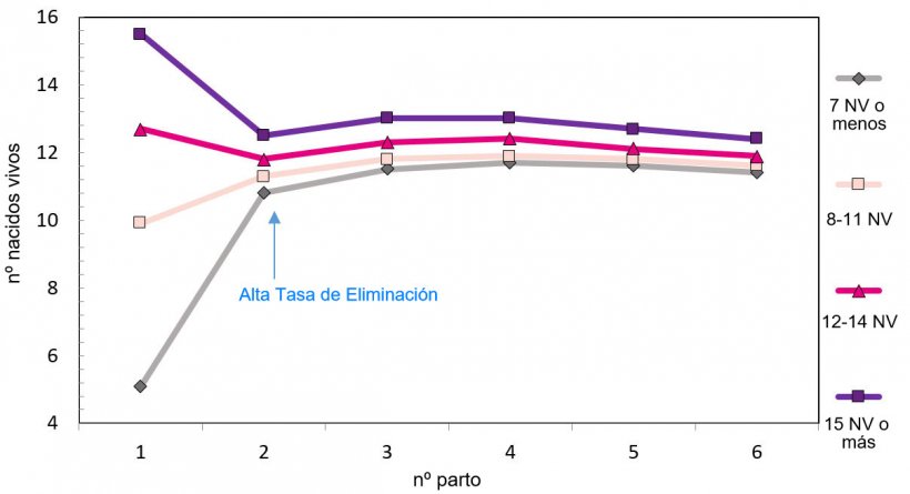 Gráfico 1. Producción a lo largo de la vida de la cerda en función de los lechones nacidos.