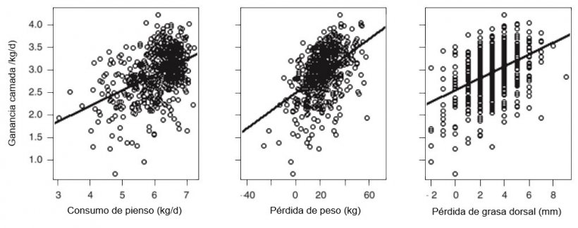 Ilustración 5. Por cada kg más de CMD de la cerda en lactación aumenta la GMD de la camada en 0,34 kg/día. Por cada 1 kg de pérdida de peso de la cerda se incrementó 20 g/día la GMD de la camada. Por cada 1mm de pérdida de P2 de la cerda, se incrementó 130 g/día la GMD de la camada (A. V. Strathe, 2015)