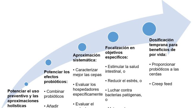 Figura 2. Estrategias para mejorar el uso de probióticos en etapas tempranas.