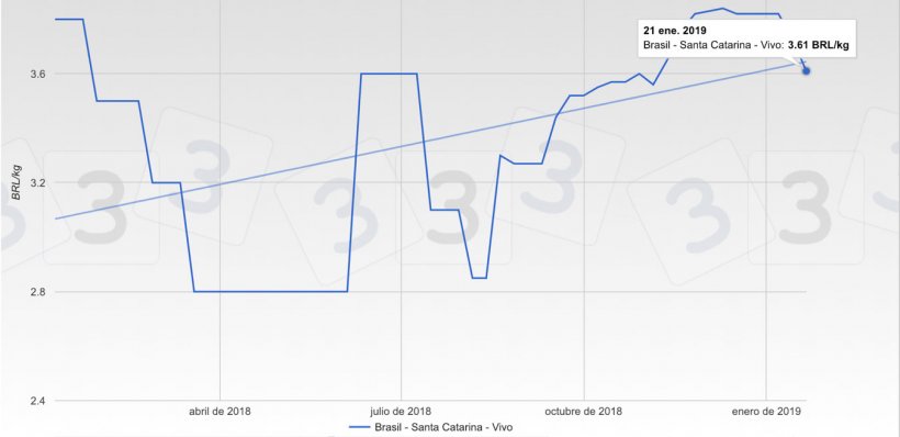 Gr&aacute;fico 3. Evoluci&oacute;n de las cotizaciones en los &uacute;ltimos 12 meses en la bolsa de Santa Catarina. Brasil.
