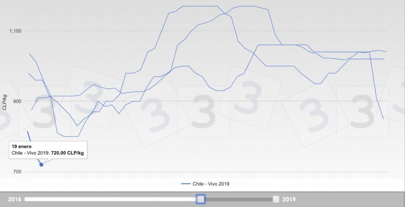 Gr&aacute;fico 1. Evoluci&oacute;n de las cotizaciones en los &uacute;ltimos 3 a&ntilde;os en el mercado porcino chileno.
