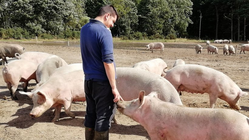 La relaci&oacute;n que se desarrolla entre animal y persona es completamente distinta.
