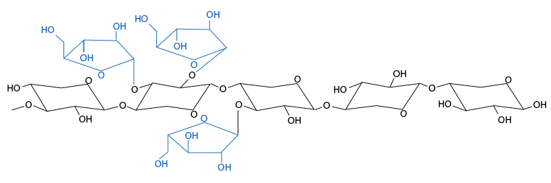 Figura 3. Estructura qu&iacute;mica de los arabinoxilanos. Las ramificaciones de arabinosa y su distribuci&oacute;n var&iacute;an entre cereales y entre variedades de un mismo cereal.
