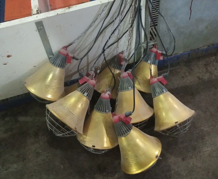 Foto 2: Lámparas de partos almacenadas incorrectamente entre lotes, lo que aumenta el riesgo de daños en las bombillas infrarrojas y las conexiones eléctricas (foto cortesía de DanAg International, China)