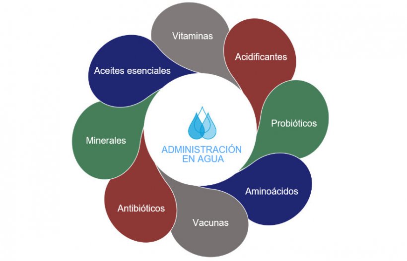 Figura1: Posibles opciones en el agua de bebida.
