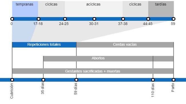 Tipos de pérdidas de gestación que repercuten en una menor tasa de partos, con el detalle de los distintos tipos de repeticiones según en el momento en que se producen.