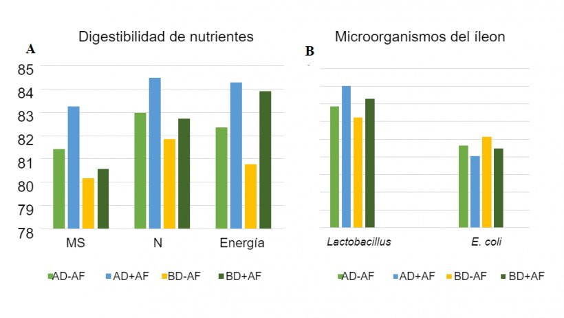 Figura&nbsp;2:&nbsp;Efectos de la avena fermentada en dietas con distintas densidades de nutrientes sobre la digestibilidad&nbsp;aparente total&nbsp;(ATTD) y los microorganismos del &iacute;leon en lechones destetados.
