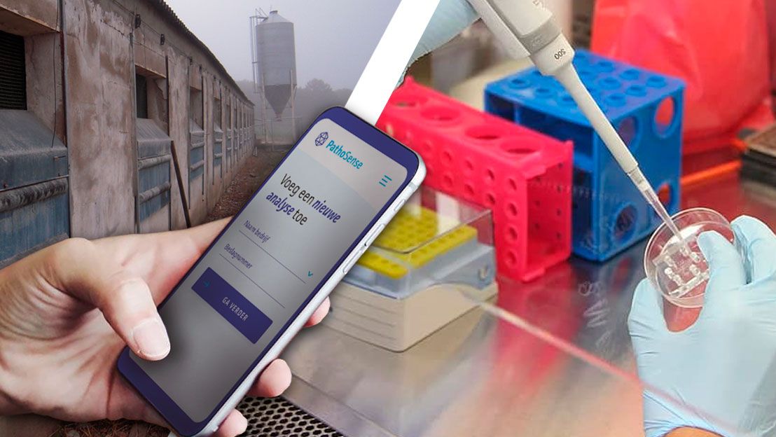 Imagen 2. Ilustraci&oacute;n de la futura plataforma de diagn&oacute;stico del Dr. Nauwynck.
