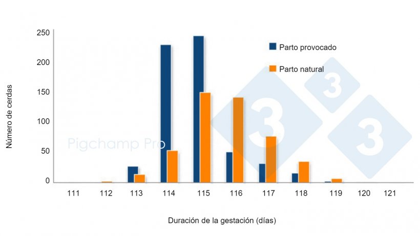 Gr&aacute;fica 3. Comparativa de la duraci&oacute;n de la gestaci&oacute;n entre parto provocado a los 114 d&iacute;as y parto natural en una granja espec&iacute;fica (&iquest;Nos est&aacute;n pidiendo las cerdas el 3tres4? 2/2).
