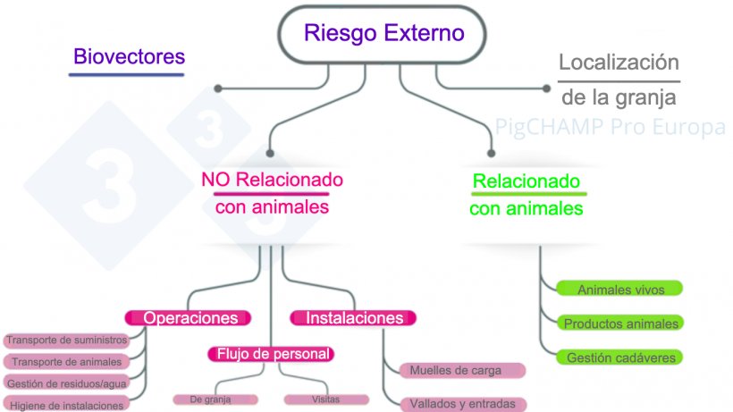 Figura 3. Esquema para analizar los principales factores de riesgo externo en la visita a la granja.
