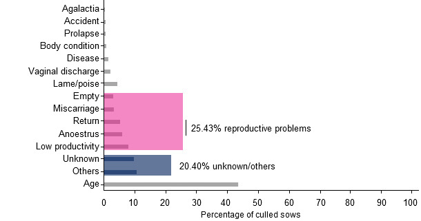 Percentages of the different reasons for sending sows to slaughter, 2015