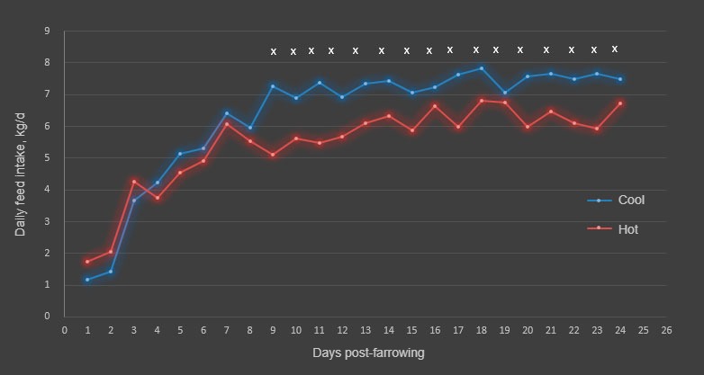Figure 1. Daily feed intake during cool and hot season. Feed intake differed between seasons from d 9 to 18 and from d 20 to 24 (&times;; P<0.05). A total of 17 and 31 sows were used for cool and hot, respectively.

