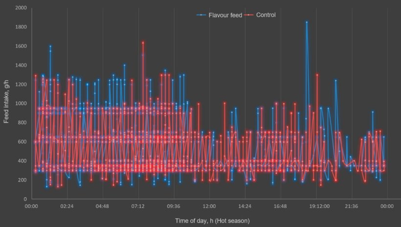 Figure 3. Effect of feed flavour and time of day on the daily feed intake in lactating sows during hot season.
