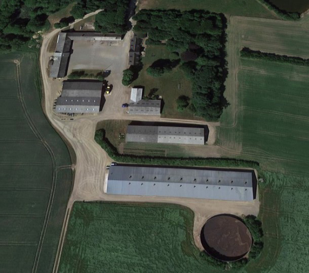 Site 2: 6400 weaners, 800 pigs are introduced each week and stay here for approx. 8 weeks before transport to Germany at 30 kg.