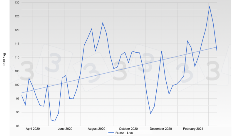 Pig price in Russia - Live.
