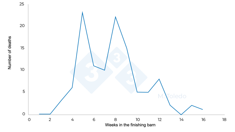 Figure 3. Evolution of the deaths in a finishing barn after medication: S4 - florfenicol in drinking water, S6 - injectable marbofloxacin, S8 -Tiamulin or Lincomycin in drinking water.
