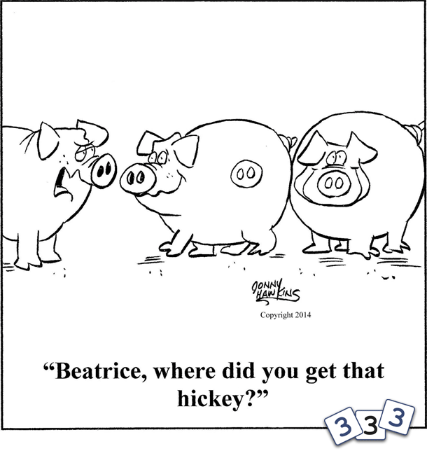 Pig mark 1