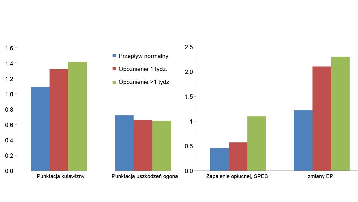 Prevalence of lesions in slaughterhouse for the 3 flows of animals described