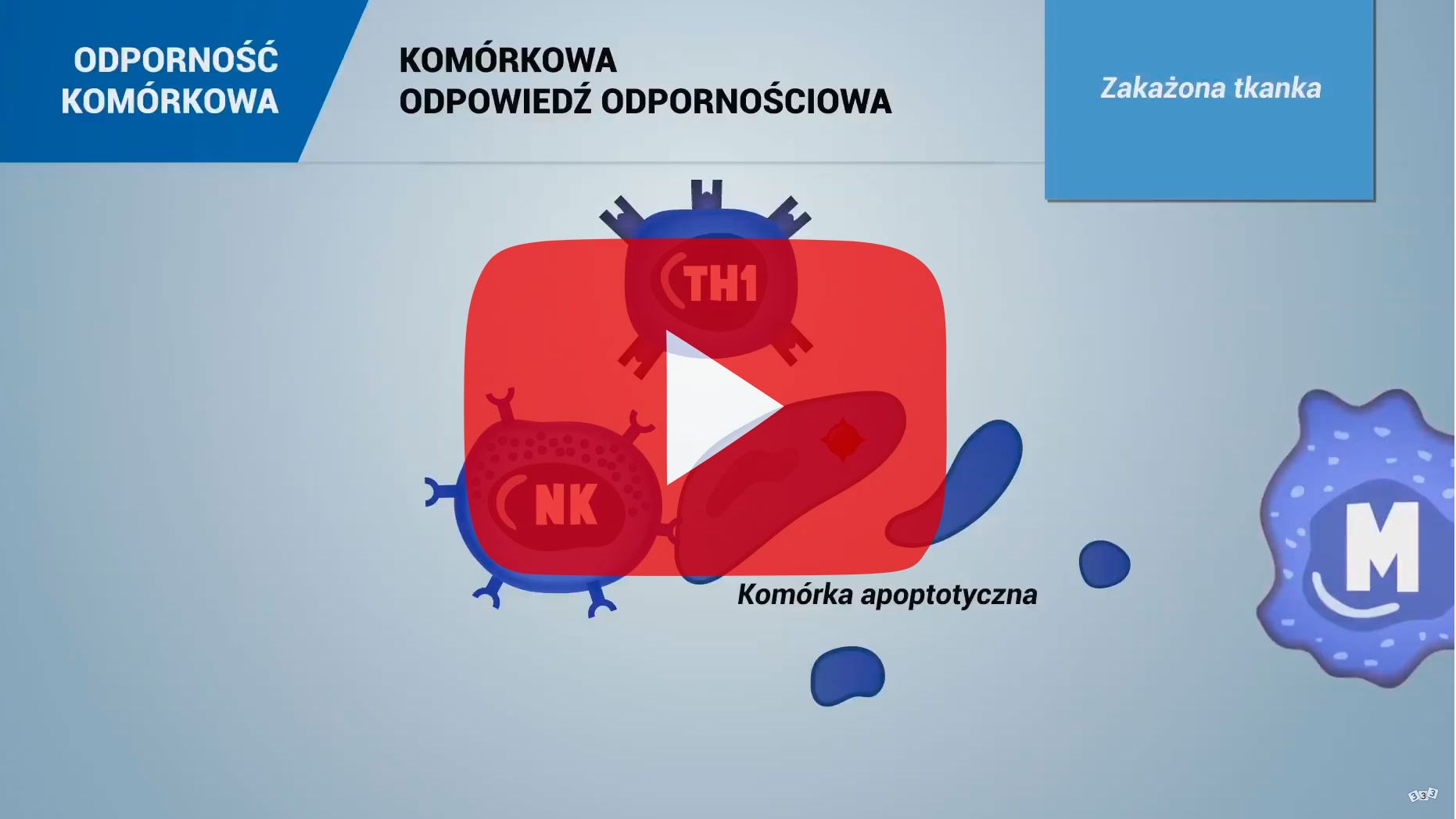 ODPORNOŚĆ KOM&Oacute;RKOWA

