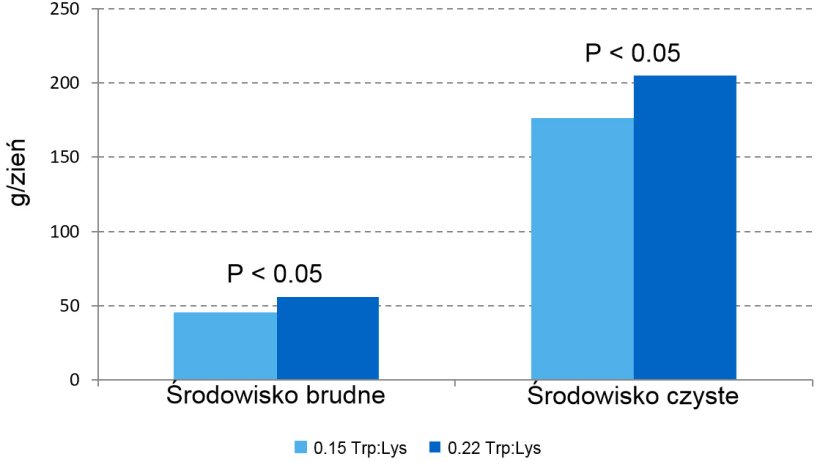 Wykres 1 – Wpływ dietetycznego stosunku Trp: Lys na tempo wzrostu w fazie prestarteru w dwóch różnych środowiskach