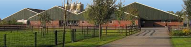 Dutch farm