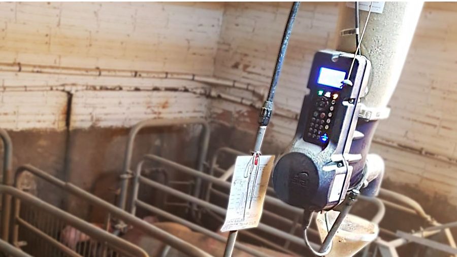 Fot. 2. System elektroniczny do karmienia na mokro.
