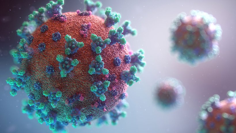 Zdjęcie z: Fusion Medical Animation&nbsp;on&nbsp;Unsplash&nbsp;&nbsp;
