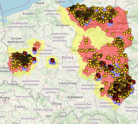 ASF u świń i dzików w 2020r. Kolorem żółtym oznaczone są przypadki u dzików, czerwonym ogniska u świń.