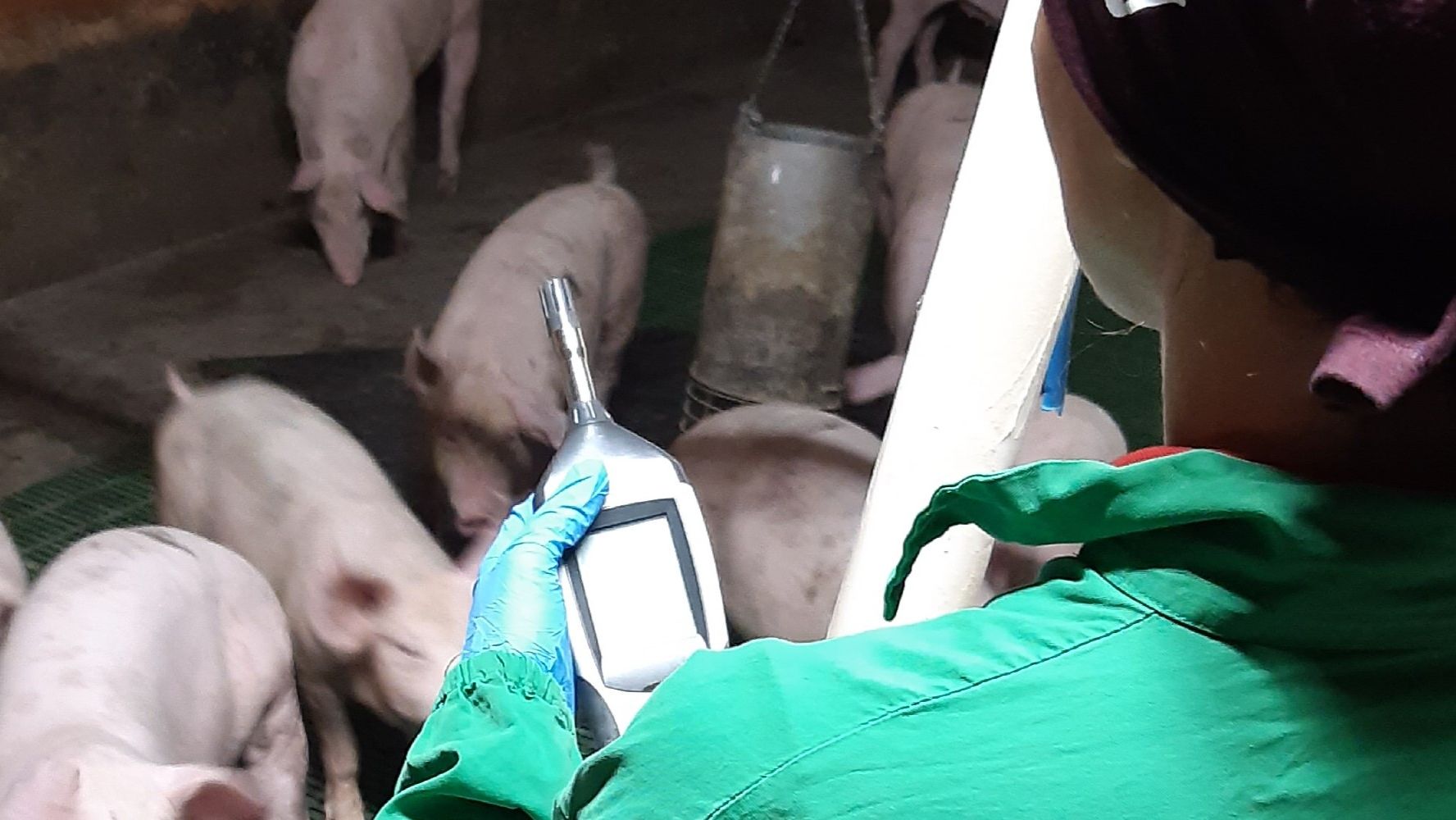 Fot. 1.Oceny jakości powietrza w gospodarstwie. Zdjęcie dzięki uprzejmości Annalis&nbsp;Scollo.
