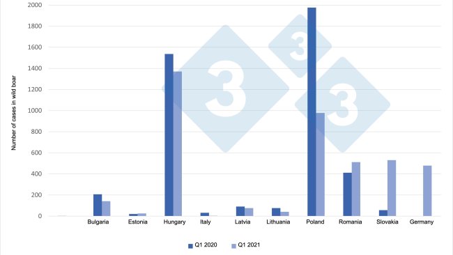 Przypadki ASF u dzików (Q1 2021 vs. Q1 2020)