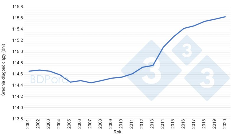 Wykres 2. Średnia długość ciąży loch w Hiszpanii od 2001 do 2020 roku. Źródło: BDPorc.