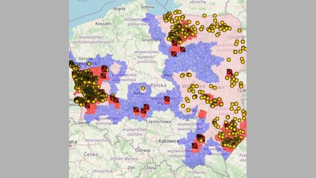 ASF u dzików w 2021r. (żółte punkty). Źródło: GIW