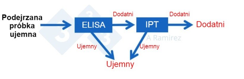 Ryc. 3.&nbsp;Schemat przedstawiający wykorzystanie IPT&nbsp;jako testu potwierdzającego ASF dla pr&oacute;bek, kt&oacute;re nieoczekiwanie uzyskały pozytywny wynik testu ELISA na ASF. &nbsp;Podejrzana ujemna pr&oacute;bka, kt&oacute;rej wynik testu ELISA jest ujemny, jest uważana za ujemną. &nbsp;Jeżeli pr&oacute;bka ta nieoczekiwanie uzyska wynik dodatni, można wykonać badanie IPT w kierunku ASF jako test potwierdzający. &nbsp;Oznacza to, że jeżeli wynik testu IPT jest pozytywny, potwierdza to, że pr&oacute;bka jest pozytywna. Jeżeli wynik IPT jest ujemny, należy założyć, że był to wynik fałszywie dodatni, o ile wynik PCR jest r&oacute;wnież ujemny, aby potwierdzić brak niedawnej infekcji.
