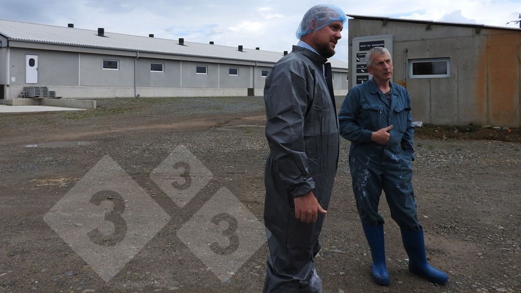 Finishing barn on a pig farm located in Hennon, Brittany, France, which is part of the Cooperl cooperative.
