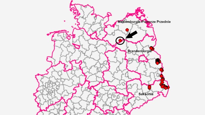 Przypadek miał miejsce w Marnitz w powiecie Ludwigslust-Parchim. Źródło: TSIS.