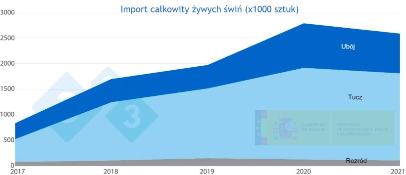 Wykres 4. Całkowity import żywych świń do Hiszpanii w latach&nbsp; 2017 -&nbsp;2021. . Źr&oacute;dło: MAPA.
