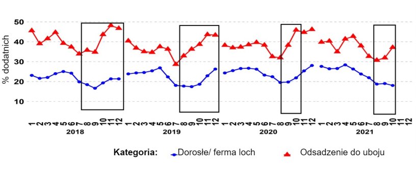 Ryc. 1. Odsetek zgłoszeń PCR-dodatnich na PRRSV w kategoriach wiekowych "dorosły/ ferma loch" i "odsadzenie do uboju" w czasie. Czarne pola pokazują bardziej uwypuklone i/lub wcześniejsze skoki w danych z ferm tuczących w porównaniu z danymi z ferm loch. Źródło: ISU-VDL: Laboratorium Weterynaryjno-Diagnostyczne Uniwersytetu Stanowego Iowa; UMN-VDL: Laboratorium Weterynaryjno-Diagnostyczne Uniwersytetu Minnesoty; SDSU-ADRDL: Laboratorium Diagnostyczne i Badawcze Chorób Zwierząt Uniwersytetu Stanowego Południowej Dakoty; KSU-VDL: Laboratorium Weterynaryjno-Diagnostyczne Uniwersytetu Stanowego Kansas; OH-ADDL: Laboratorium Diagnostyczne Chorób Zwierząt Ohio.