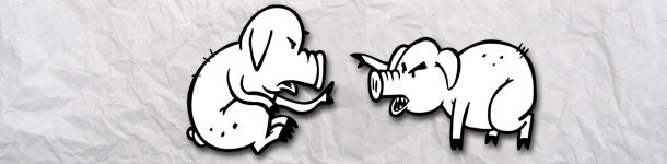 piglets fighting