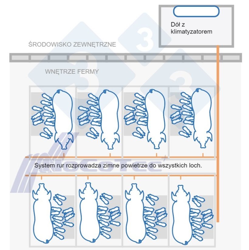 Jak działa system Freshnose