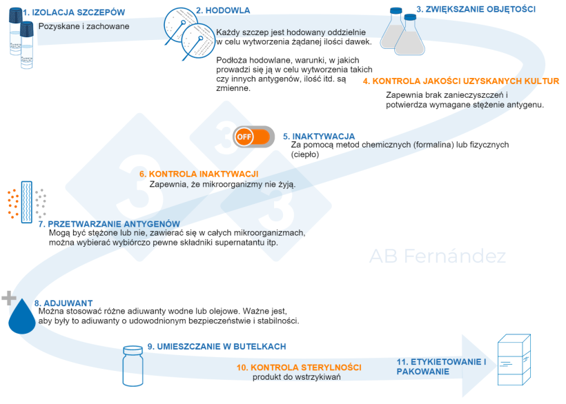 Ryc.&nbsp;1. Schemat wytwarzania szczepionki autogennej.
